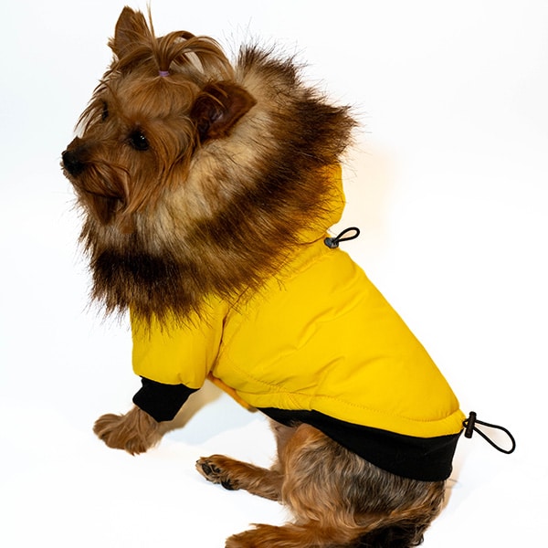 Dog Fur Jackets - Image 3