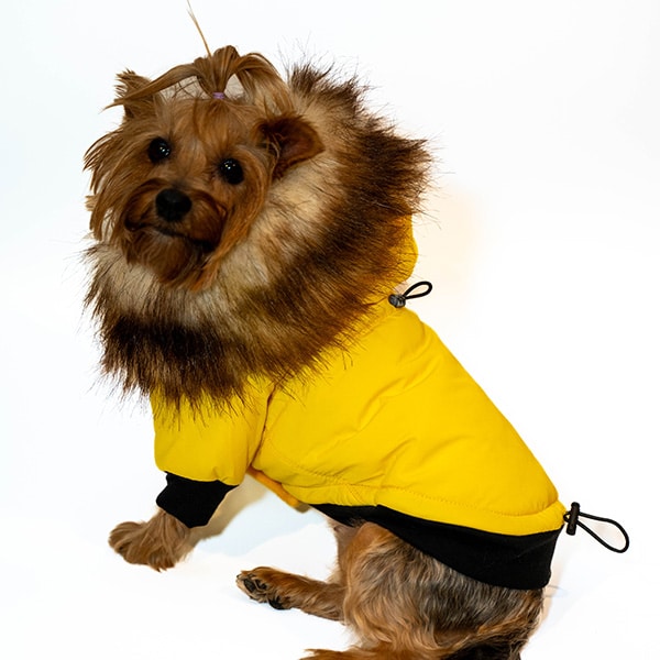 Dog Fur Jackets - Image 2