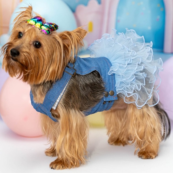 Birthday Dog Dress