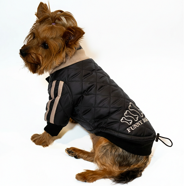 Dog Fur Jackets - Image 5